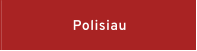 Polisiau