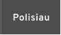 Polisiau