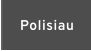Polisiau
